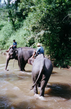 farang.org